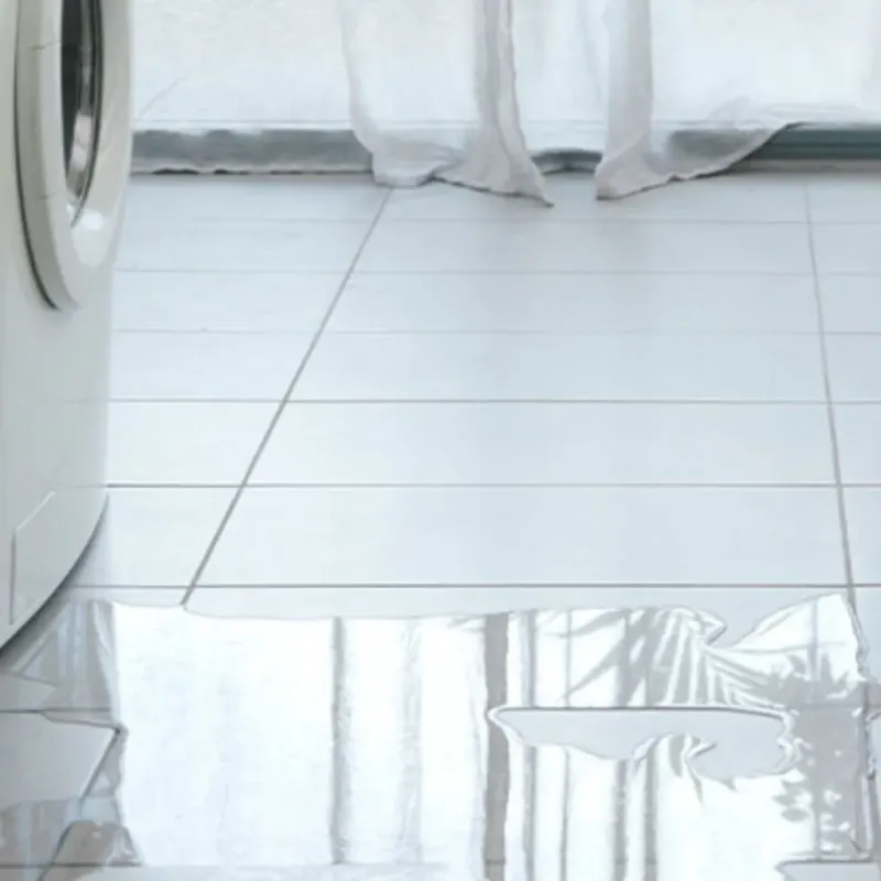 Appliance Leak Cleanup in Ray County, MO