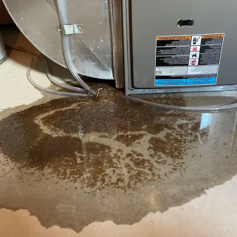 Pipe Burst and Leak Restoration in Ray County, MO