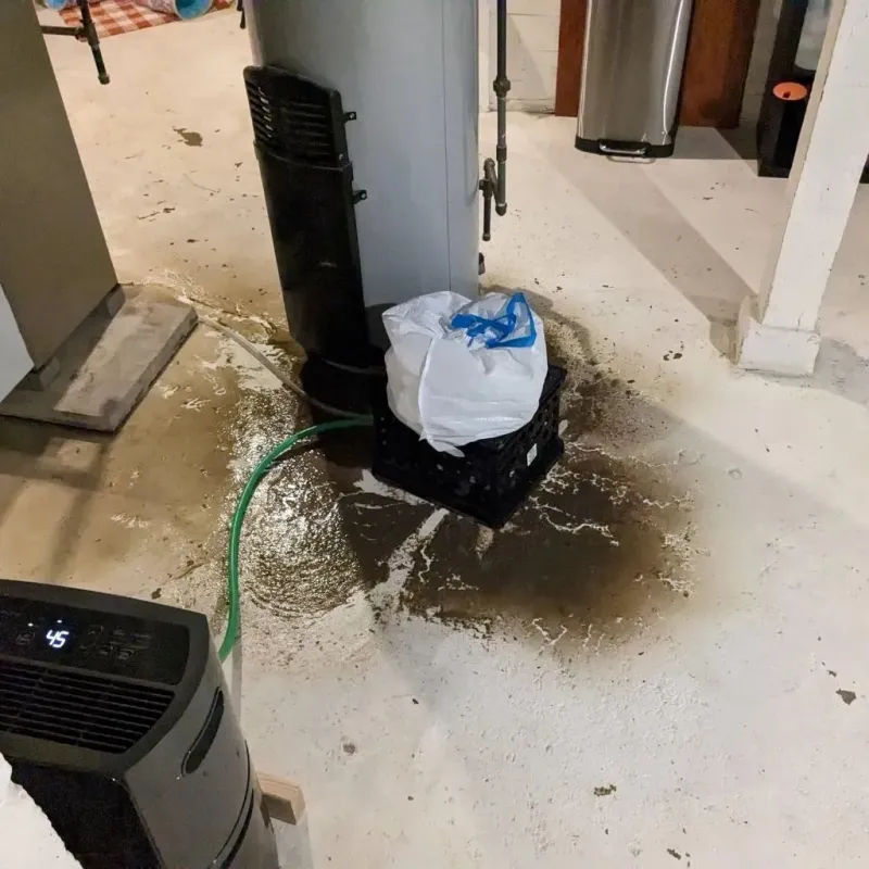 Sewage Backup Cleanup Service in Ray County, MO